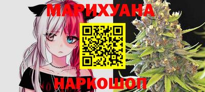 стаф Кингисепп