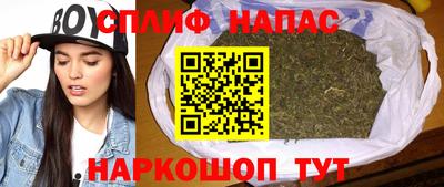 стаф Кингисепп