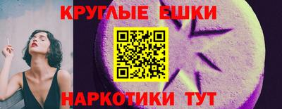 стаф Кингисепп